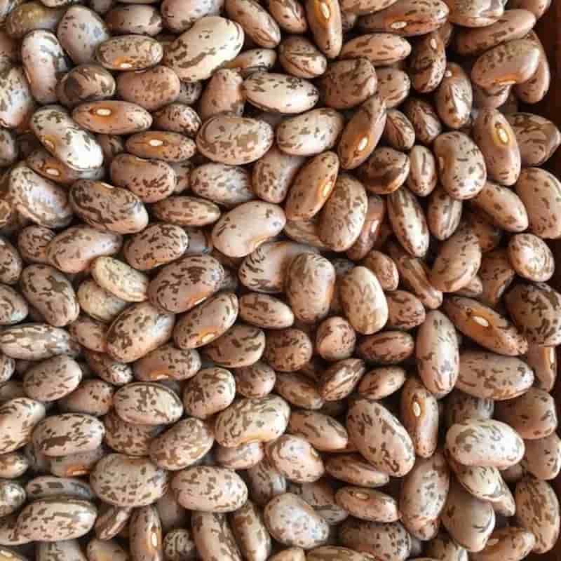 فروش لوبیا چیتی ریز  + قیمت خرید به صرفه